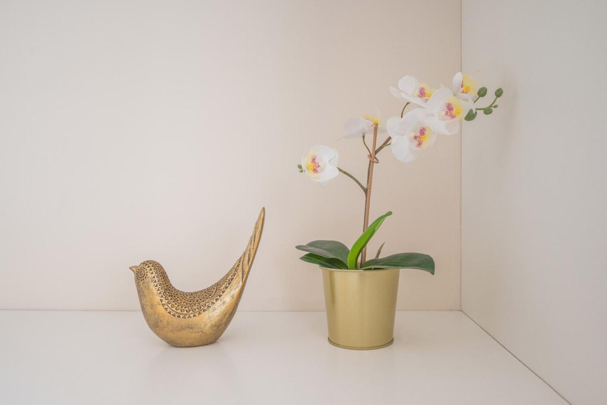 Lovely Charm House Downtown Porto Near Metro With Ac מראה חיצוני תמונה